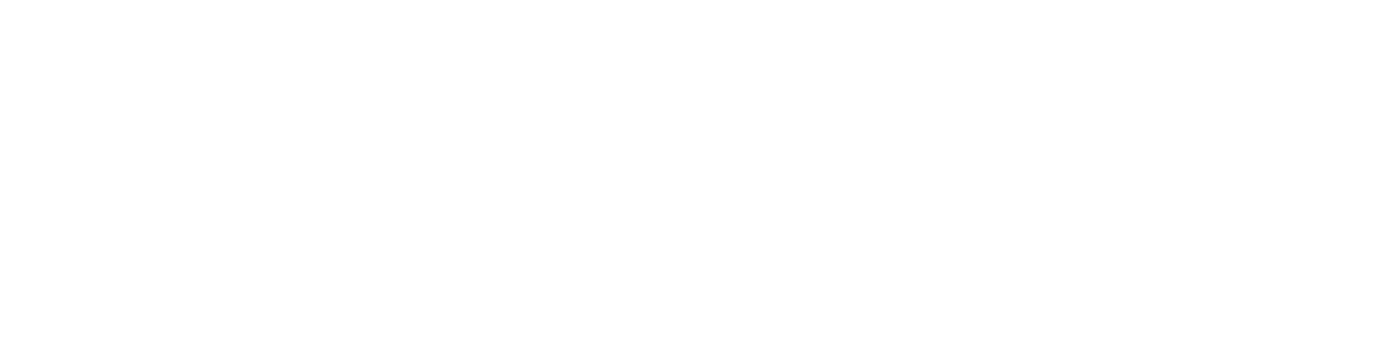 Academy Xi